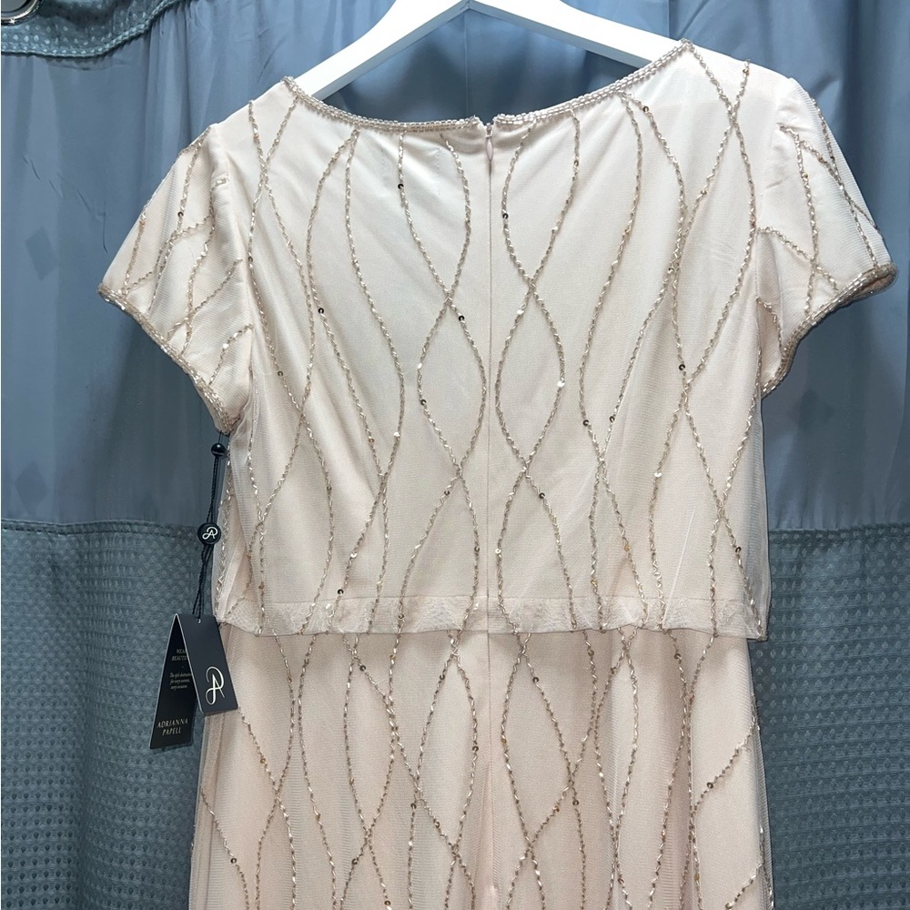 Adrianna Papell Blush Pink Gown - Picture 10 of 15